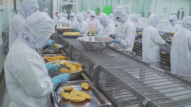 Doanh nghiệp đối mặt áp lực vốn sản xuất mùa cao điểm cuối năm - Ảnh 1.