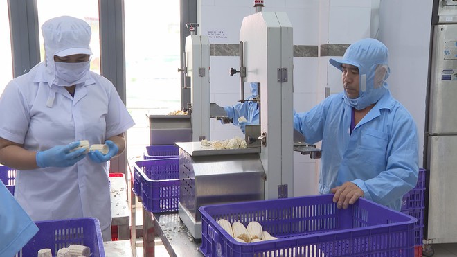 Doanh nghiệp đối mặt áp lực vốn sản xuất mùa cao điểm cuối năm - Ảnh 2.