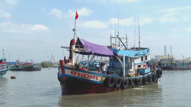 TP. Hồ Chí Minh đẩy mạnh giải pháp gỡ "Thẻ Vàng" IUU - Ảnh 5.