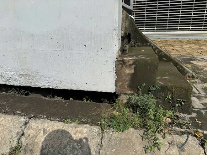 Thời sự HTV ngày 5/11/2025 | Tìm giải pháp ứng phó trước nguy cơ TP. Hồ Chí Minh bị sụt lún - Ảnh 1.