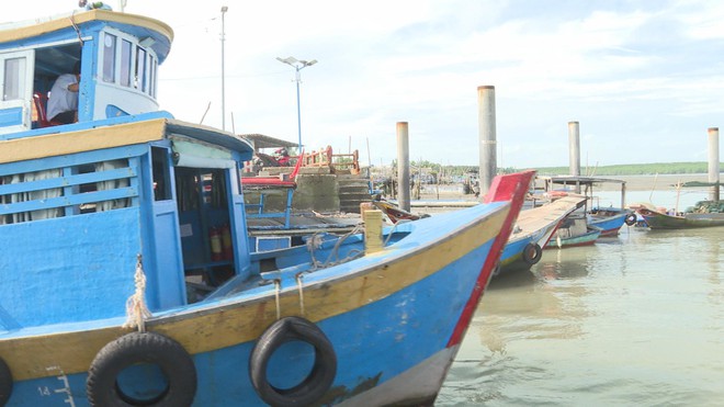 TP. Hồ Chí Minh tăng cường kiểm tra hoạt động khai thác, nuôi trồng thủy hải sản - Ảnh 1.