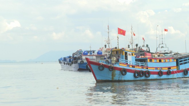 TP. Hồ Chí Minh tăng cường kiểm tra hoạt động khai thác, nuôi trồng thủy hải sản - Ảnh 3.