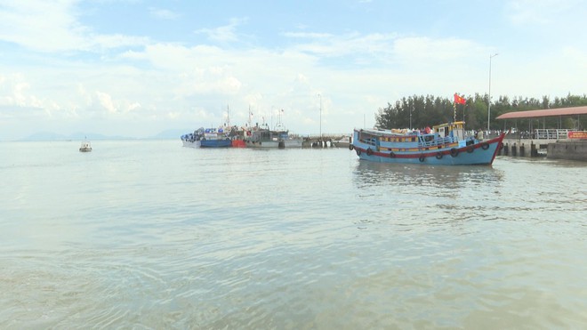 TP. Hồ Chí Minh tăng cường kiểm tra hoạt động khai thác, nuôi trồng thủy hải sản - Ảnh 2.