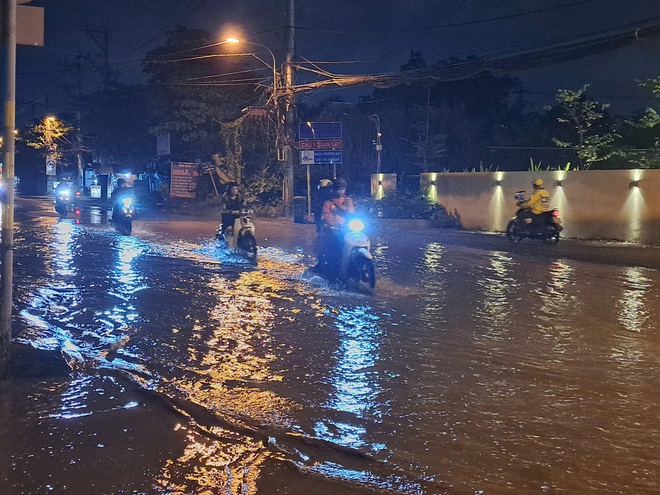 Người dân TP. Hồ Chí Minh vừa đối mặt “biển” nước do triều cường, mưa lớn vừa phải đối mặt… “biển” rác hậu ngập - Ảnh 4.
