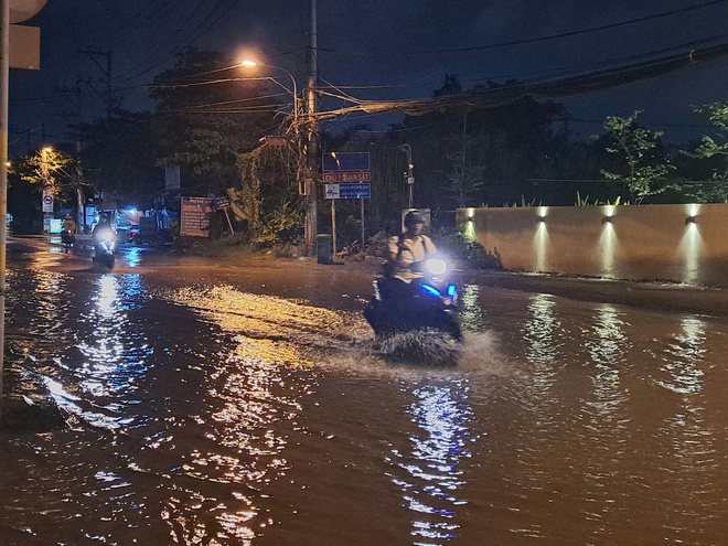 Người dân TP. Hồ Chí Minh vừa đối mặt “biển” nước do triều cường, mưa lớn vừa phải đối mặt… “biển” rác hậu ngập - Ảnh 1.