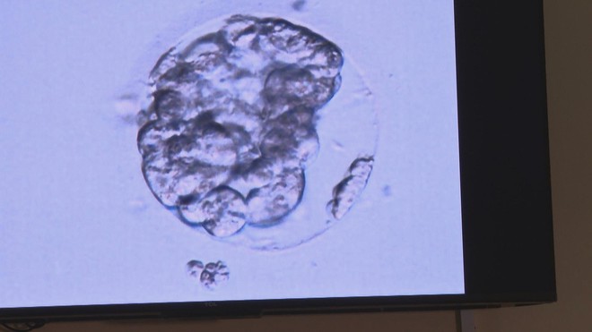 Chương trình 60 Giây ngày 7/11/2025 | Bão số 13 gây nhiều thiệt hại tại các xã, phường phía Đông tỉnh Gia Lai - Ảnh 6.