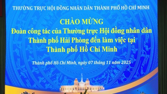 TP. Hồ Chí Minh và Hải Phòng tăng cường hợp tác, hướng tới chính quyền đô thị hiệu quả - Ảnh 2.