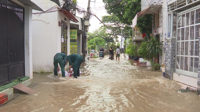 TP. Hồ Chí Minh tăng cường năng lực phòng chống thiên tai, thích ứng với biến đổi khí hậu - Ảnh 3.
