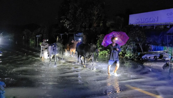Đắk Lắk: Sau bão, người dân chạy lũ trong đêm - Ảnh 3.