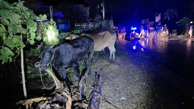 Đắk Lắk: Sau bão, người dân chạy lũ trong đêm - Ảnh 2.