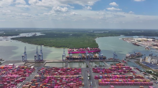 vươn khơi - Ảnh 3.