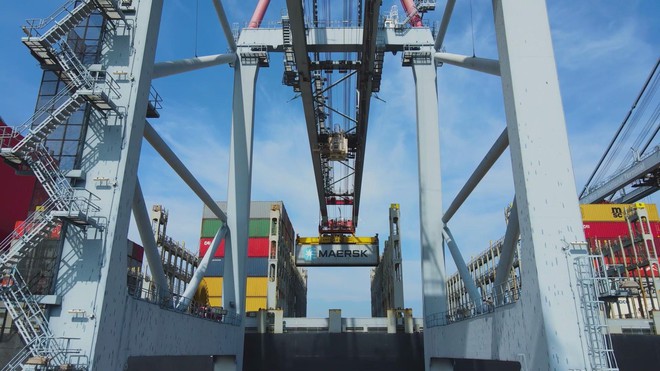 vươn khơi - Ảnh 2.