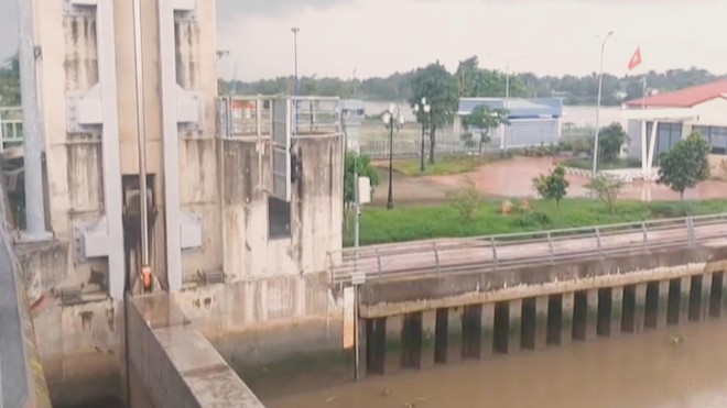 Chương trình 60 Giây ngày 9/11/2025 I Tài xế sống sót kỳ diệu trong chiếc xe bẹp nát - Ảnh 1.