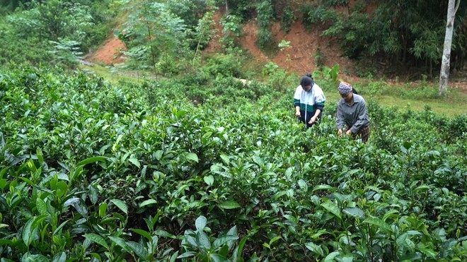 Em Hòa vượt nghịch cảnh, chăm mẹ và anh trai bệnh tâm thần - Mái ấm gia đình Việt- Ảnh 5.