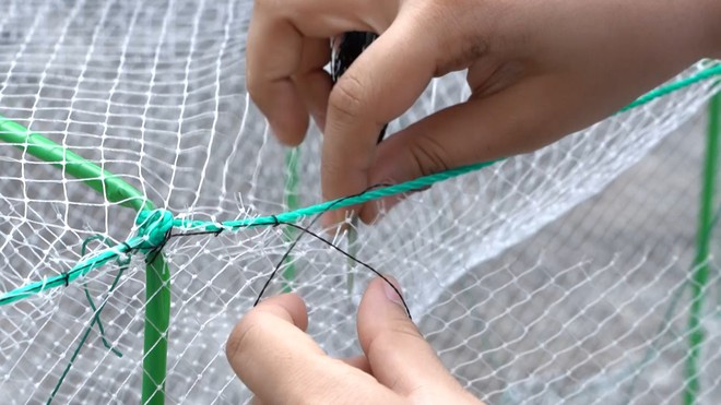 Tuổi 17, em Hiền trở thành chỗ dựa cho mẹ và em gái sau khi cha qua đời- Ảnh 8. Tuổi 17, em Hiền trở thành chỗ dựa cho mẹ và em gái sau khi cha qua đời- Ảnh 8.