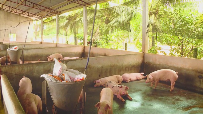 60 Giây ngày 10/12/2025 | UNESCO vinh danh nghề làm tranh dân gian Đông Hồ của Việt Nam - Ảnh 6.