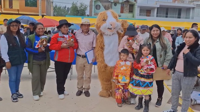 Peru: Cuộc thi thời trang cho... chuột lang - Ảnh 1.