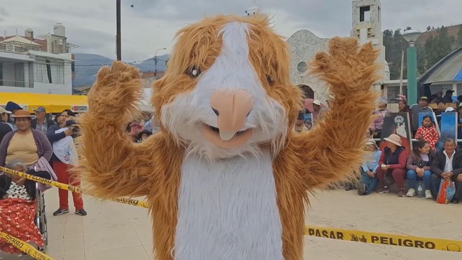 Peru: Cuộc thi thời trang cho... chuột lang - Ảnh 7.