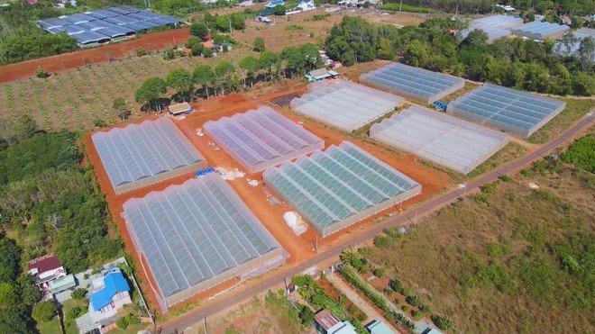 Vươn khơi - Ngày 10/12/2025 | Cầu đường vượt biển Cần Giờ - Vũng Tàu sẽ khởi công trong năm 2026 - Ảnh 6.