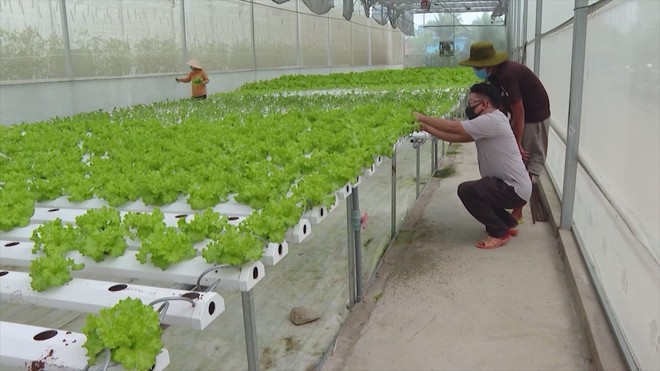 Vươn khơi - Ngày 10/12/2025 | Cầu đường vượt biển Cần Giờ - Vũng Tàu sẽ khởi công trong năm 2026 - Ảnh 8.