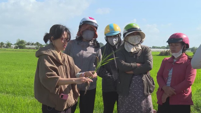 Tỉnh Khánh Hòa khôi phục sản xuất nông nghiệp sau mưa lũ - Ảnh 5.