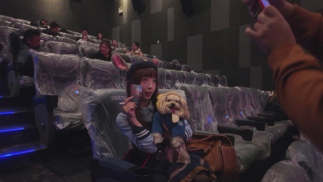 Rạp Phim Trung Quốc Mở Suất Chiếu Zootopia 2 Đặc Biệt Cho Chó - Ảnh 3.