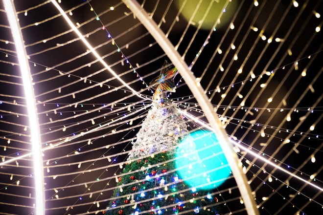 TP. Hồ Chí Minh “lên đèn”, người dân háo hức “lên đồ” đón Giáng sinh - Ảnh 13.