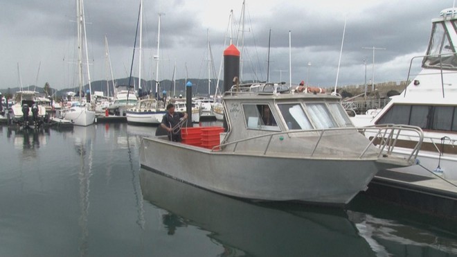 Australia: Gắn thiết bị theo dõi cá mập để bảo vệ người dân- Ảnh 4. Australia: Gắn thiết bị theo dõi cá mập để bảo vệ người dân- Ảnh 4.