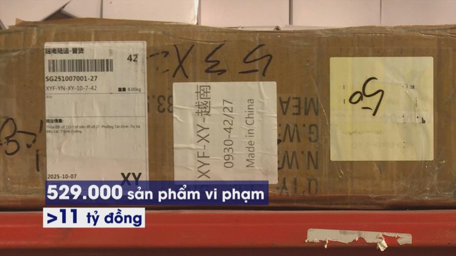 Thời sự HTV ngày 13/12/2025 | Đảm bảo vận tải hành khách dịp Tết Dương lịch 2026- Ảnh 4. Thời sự HTV ngày 13/12/2025 | Đảm bảo vận tải hành khách dịp Tết Dương lịch 2026- Ảnh 4.