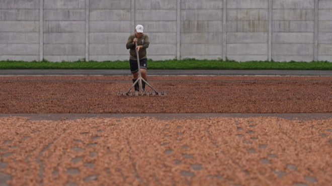 Giá ca cao giảm, nhưng giá sô cô la cuối năm vẫn cao- Ảnh 7. Giá ca cao giảm, nhưng giá sô cô la cuối năm vẫn cao- Ảnh 7.