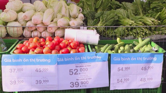 Thời sự HTV ngày 14/12/2025 | Bệnh não mô cầu đang gia tăng trở lại- Ảnh 3. Thời sự HTV ngày 14/12/2025 | Bệnh não mô cầu đang gia tăng trở lại- Ảnh 3.