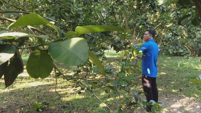 Vươn khơi - Ngày 14/12/2025 | Tập trung nâng cao chỉ số cải cách hành chính và mức độ hài lòng của người dân, doanh nghiệp- Ảnh 7.