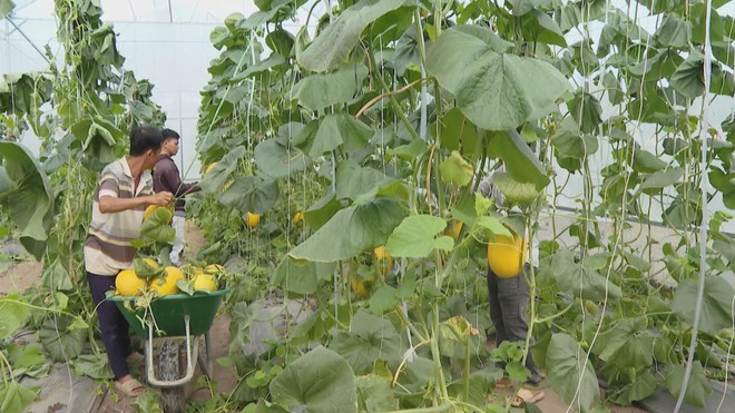 Vươn khơi - Ngày 14/12/2025 | Tập trung nâng cao chỉ số cải cách hành chính và mức độ hài lòng của người dân, doanh nghiệp- Ảnh 5.