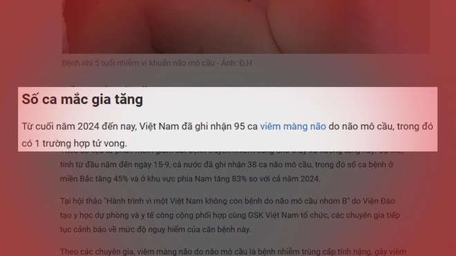 Viêm màng não do não mô cầu tăng gấp 6 lần: Khuyến cáo tiêm vắc-xin - Ảnh 1.