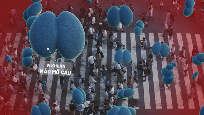 Viêm màng não do não mô cầu tăng gấp 6 lần: Khuyến cáo tiêm vắc-xin - Ảnh 3.