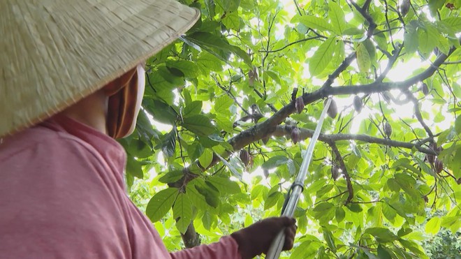 Vươn khơi - Ngày 15/12/2025 | - Ảnh 3.