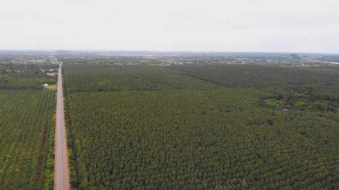 Vươn khơi - Ngày 15/12/2025 | - Ảnh 2.