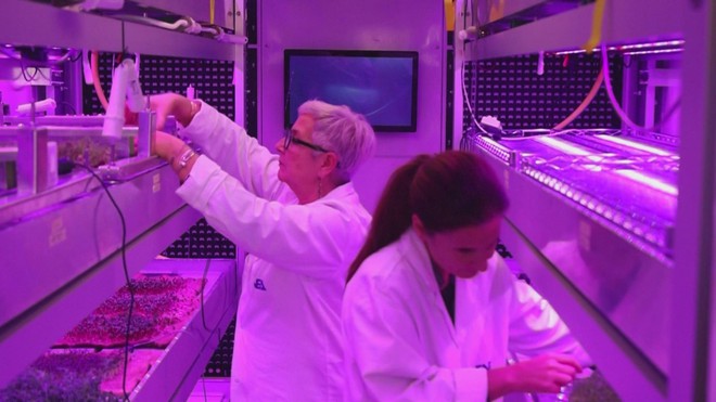 Italia in 3D bánh ngọt từ tế bào thực vật nuôi cấy - Ảnh 6.