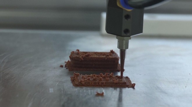 Italia in 3D bánh ngọt từ tế bào thực vật nuôi cấy - Ảnh 2.