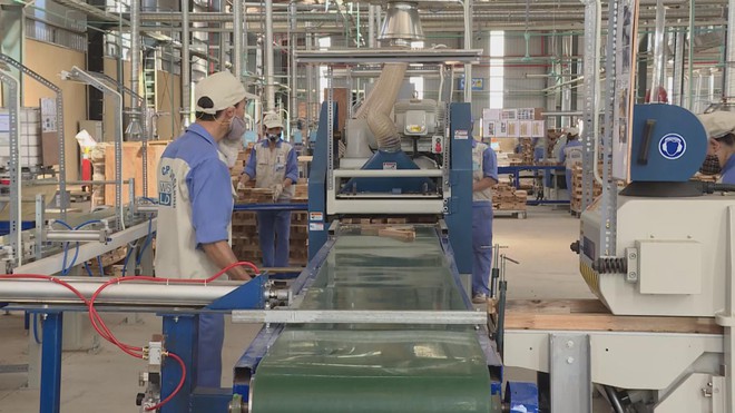 Nhiều hoạt động chăm lo đoàn viên, người lao động đã được công đoàn các cấp triển khai trong năm 2025 - Ảnh 2.