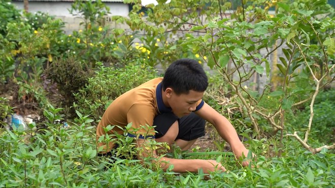 Cậu bé Thành Nam: 13 tuổi là trụ cột vững vàng cho mẹ giữa những ngày gian khó - Ảnh 3.