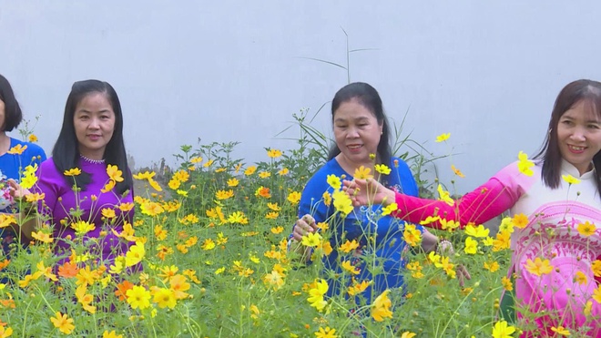 Lan tỏa phong trào “Thành phố muôn sắc hoa” - Ảnh 4.