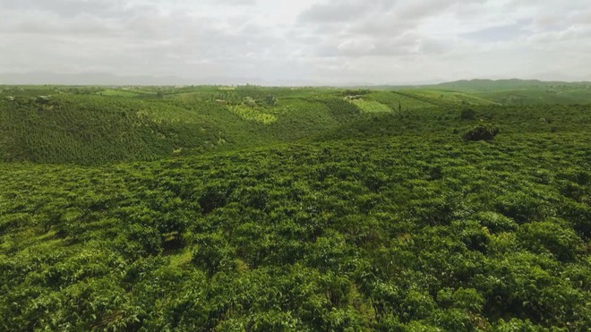 Thời sự HTV ngày 02/12/2025 | Kỷ niệm 65 năm thiết lập quan hệ ngoại giao Việt Nam - Cuba - Ảnh 8.