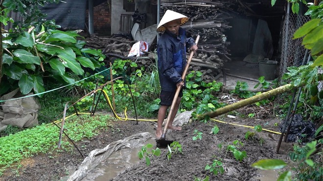 Em Quang Hiệp mồ côi cha mẹ, cùng chị gái nương tựa ngoại già yếu - Ảnh 1.