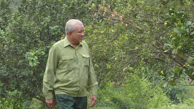 “Bộ đội Cụ Hồ” làm kinh tế, dựng xây cuộc sống mới trên quê hương- Ảnh 3.