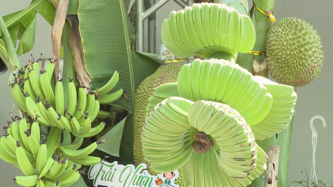 “Độc lạ” Phiên chợ nông sản vùng miền - Bình Đông: Vú sữa vị xoài, na hương sầu riêng- Ảnh 4.