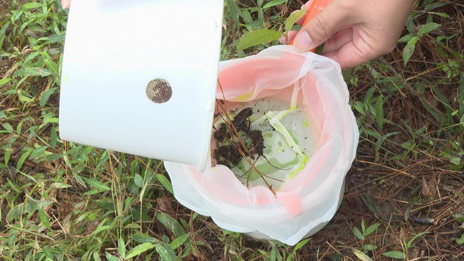 Ngăn sinh vật ngoại lai, bảo vệ an toàn sinh học- Ảnh 5.