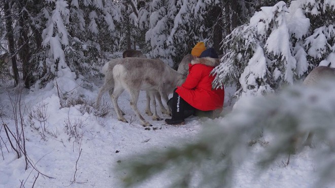 Biến đổi khí hậu đe dọa quê hương của Ông già Noel- Ảnh 2.