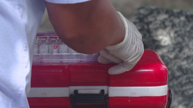 Đẩy mạnh tiêm phòng, bệnh dại tại TP. Hồ Chí Minh được kiểm soát hiệu quả - Ảnh 5.