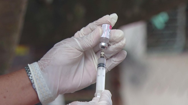 Đẩy mạnh tiêm phòng, bệnh dại tại TP. Hồ Chí Minh được kiểm soát hiệu quả - Ảnh 6.